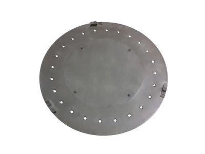 Seed disc (maize)